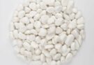 LOOIOOJ 40 lbs White Polished Decorative Landscape Stones Review – Pros & Cons – LOOIOOJ landscape stones